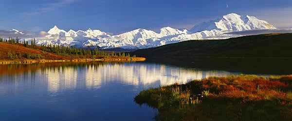 Into the Wild Flowers of Alaska